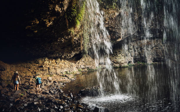 istock Besties look out for each other in the wilderness 694371000
