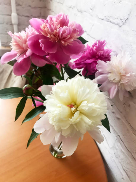 istock bouquet of pink and white peonies 694372122