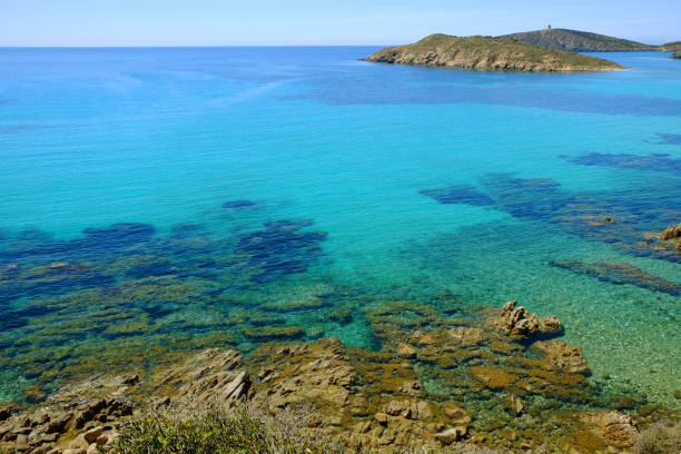 istock Beach Tuerredda in Sardinia, Italy. 694390246