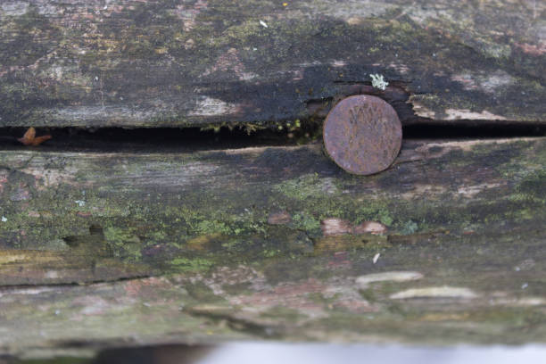 istock nail at old piece of wood 694399238