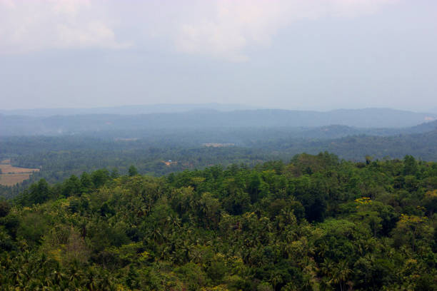 istock view on green hill and distant mountains 694399472