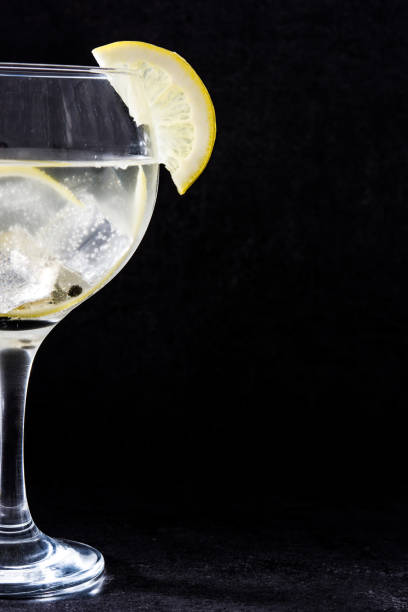 istock Glass of gin tonic 694402218