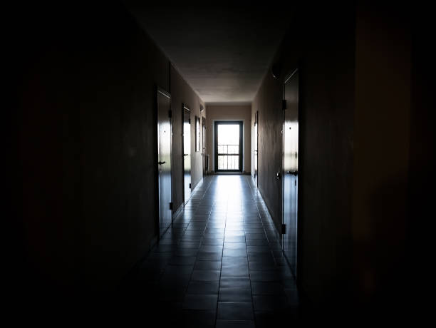 istock Long dark corridor with doors to the apartments 694405768