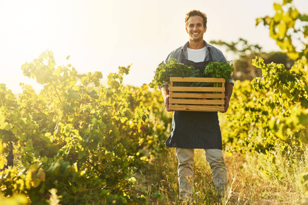 istock I grew it the good way, organically 694409118