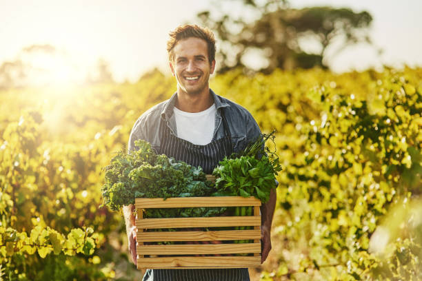 istock Can you tell, it's been a good harvest 694409128