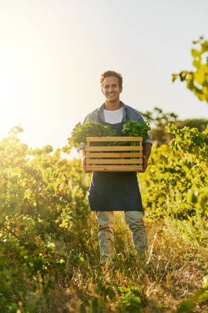 istock Full of organic goodness 694409146