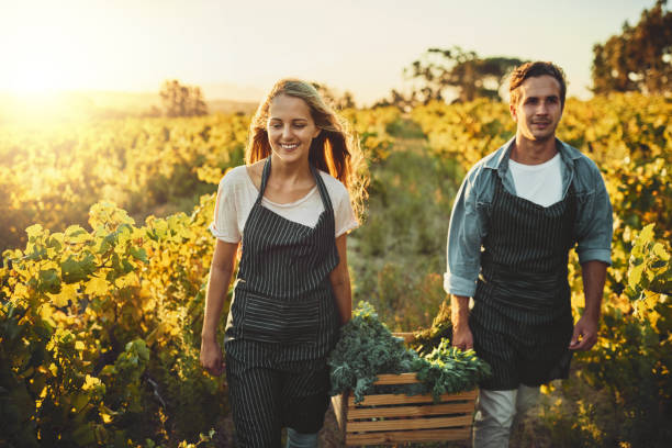 istock Working the land has so many rewards 694409174