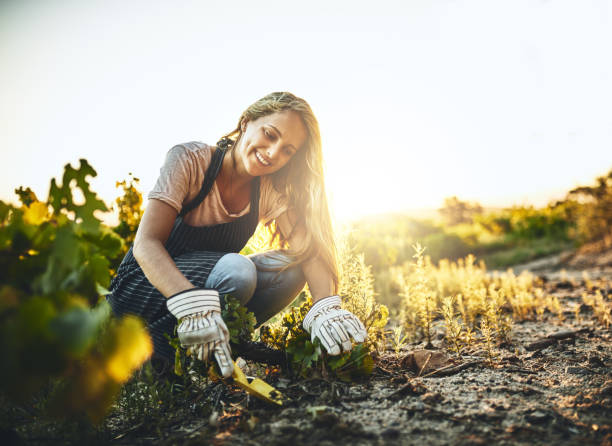 It’s hard not to be happy when you’re farming Shot of a young woman tending to the crops on a farm green fingers stock pictures, royalty-free photos & images