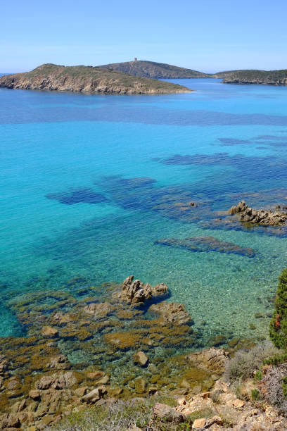 istock Beach Tuerredda in Sardinia, Italy. 694409880