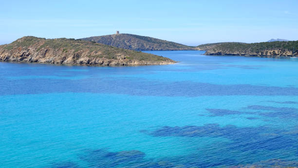 istock Beach Tuerredda in Sardinia, Italy. 694410078
