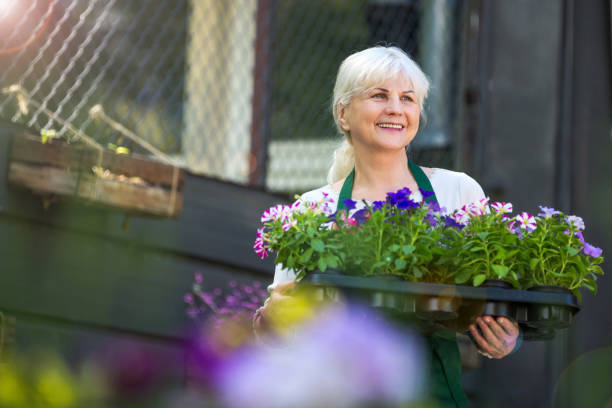 istock Woman working in florist shop 694416148