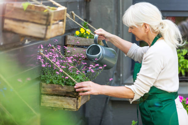 istock Woman working in florist shop 694417694