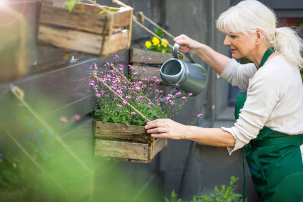 istock Woman working in florist shop 694418676