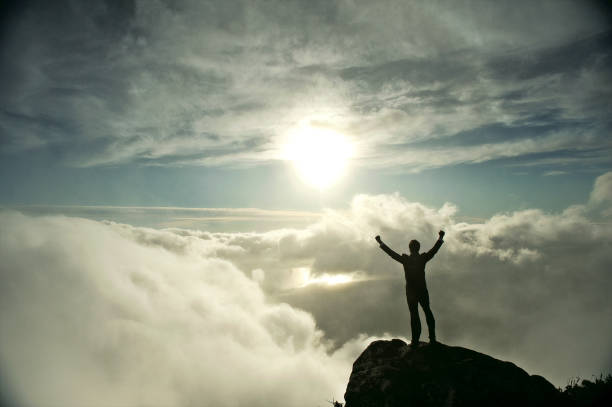 istock Silhouette of Successful Businessman 694426018