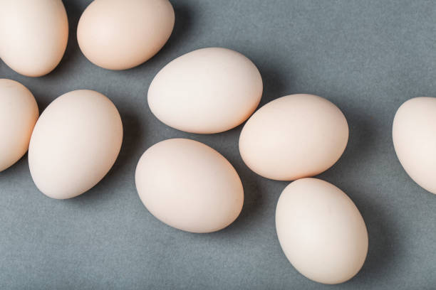 卵 - agriculture brown burlap cholesterol ストックフォトと画像