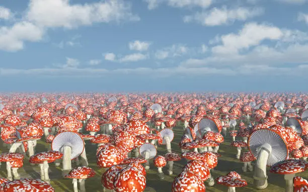 Computer generated 3D illustration with amanita muscaria