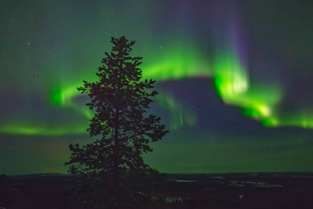 istock Beautiful Northern lights over head 694443800