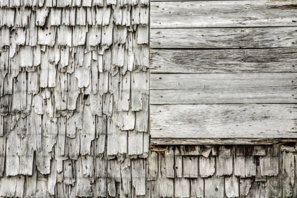 Texture of old cedar shingles Details of a wall of cedar shingles. image en noir et blanc stock pictures, royalty-free photos & images