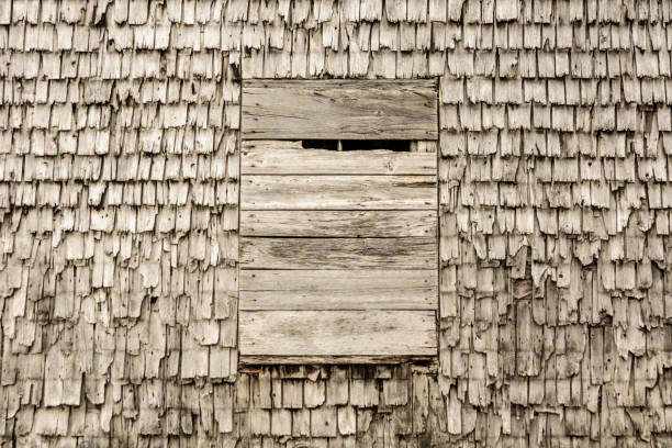 Texture of old cedar shingles Details of a wall of cedar shingles. image en noir et blanc stock pictures, royalty-free photos & images