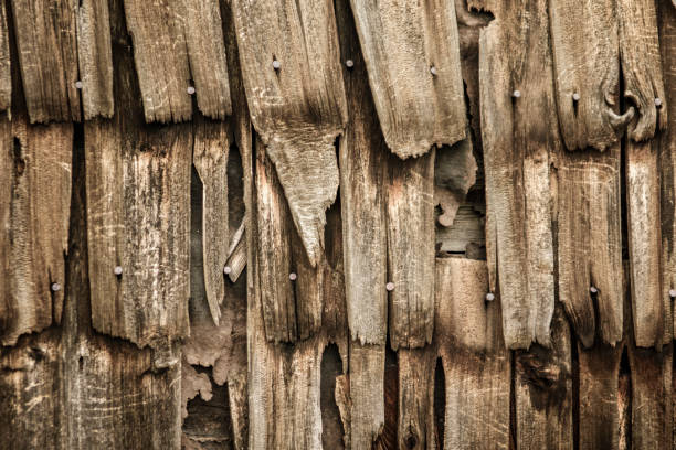 Texture of old cedar shingles Details of a wall of cedar shingles. image en noir et blanc stock pictures, royalty-free photos & images