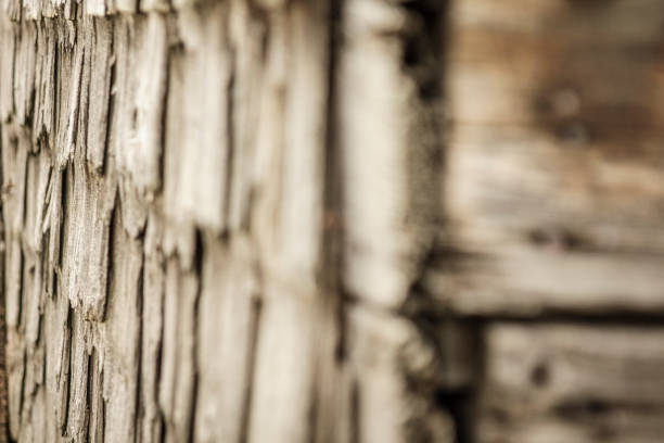 Texture of old cedar shingles Details of a wall of cedar shingles. image en noir et blanc stock pictures, royalty-free photos & images