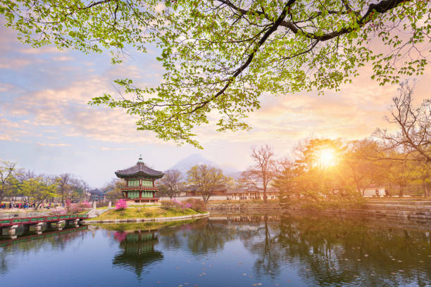 istock Gyeongbokgung palace in spring, South Korea. 694460990