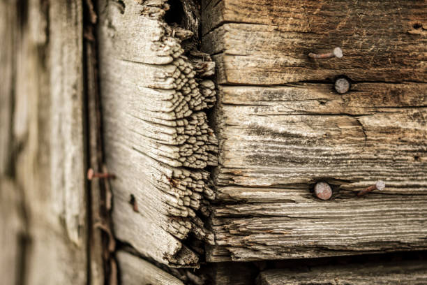 Texture of old cedar shingles Details of a wall of cedar shingles. image en noir et blanc stock pictures, royalty-free photos & images