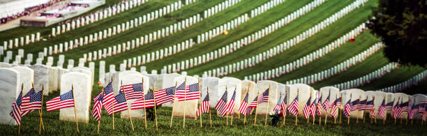 patriotic 9 (banner) - 3109 imagens e fotografias de stock