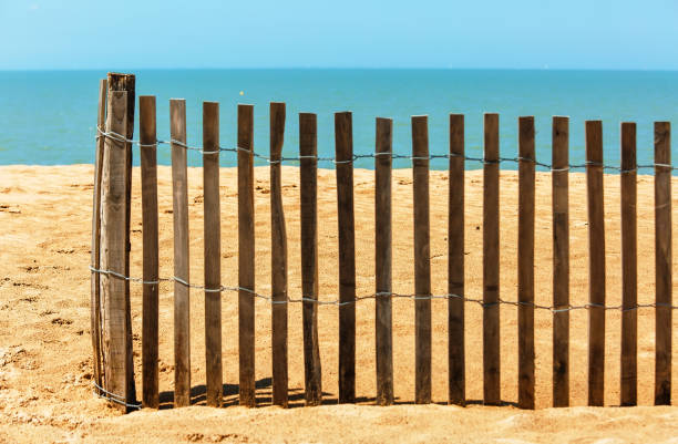 istock Palisades on sand beach near ocean. Private beach concept 694462038