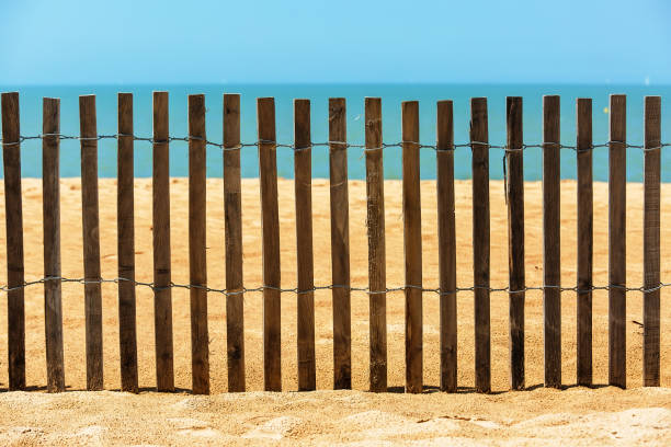 istock Palisades on sand beach near ocean. Private beach concept 694462044