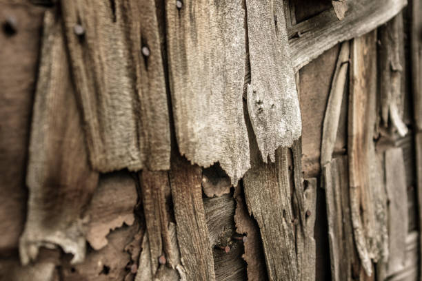 Texture of old cedar shingles Details of a wall of cedar shingles. image en noir et blanc stock pictures, royalty-free photos & images