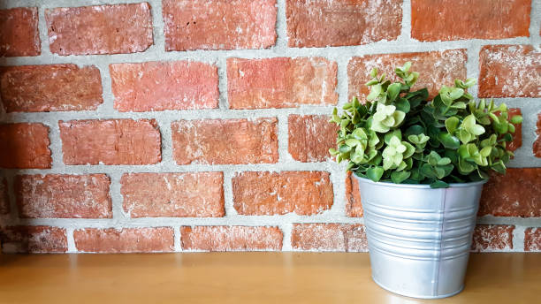istock Flower pot on wooden table with blurred red brick wall 694469988