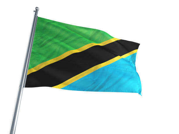 istock Tanzania flag waving 694474512