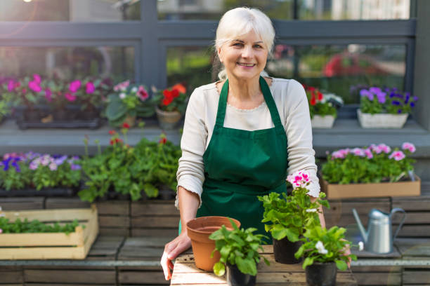 istock Woman working in florist shop 694475502