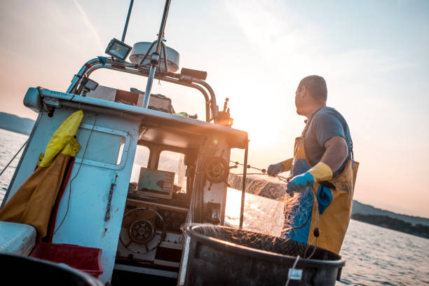 istock Fisherman fishing with net 694478036
