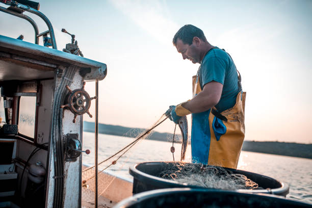 great start of the day - sporting fisherman fishing recreational pursuit imagens e fotografias de stock