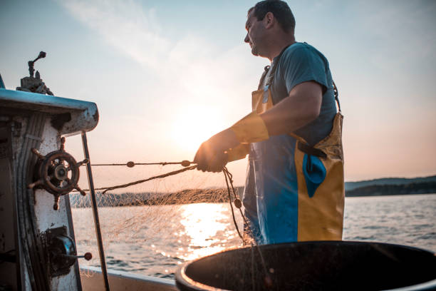 istock Early morning on the boat 694478186