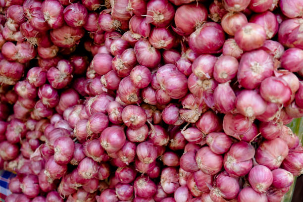 istock Pile of Onions, shallot is ingredient 694481604