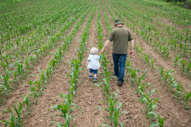 istock Two farmers on the corn field 694481648