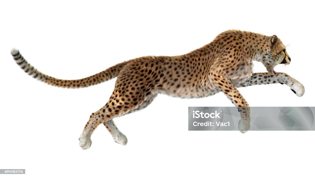 Rendu 3D félin guépard - Photo de Guépard libre de droits