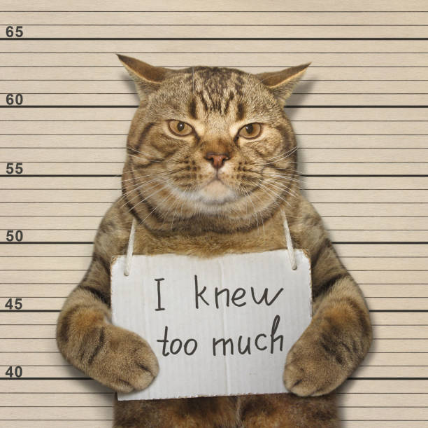 2,036 Funny Jail Stock Photos, Pictures & Royalty-Free Images - iStock