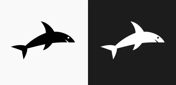 Vector illustration of Shark Icon on Black and White Vector Backgrounds