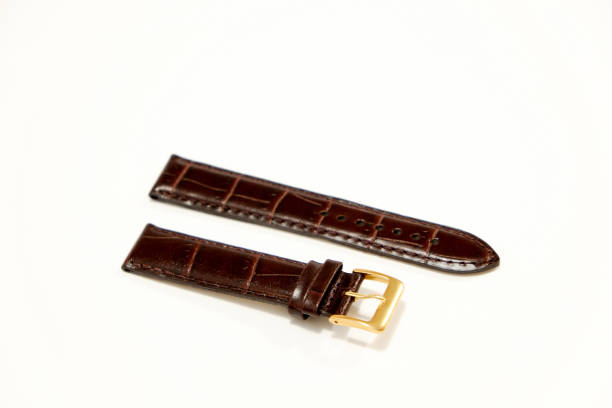 istock Watchband colors and materials 694507442