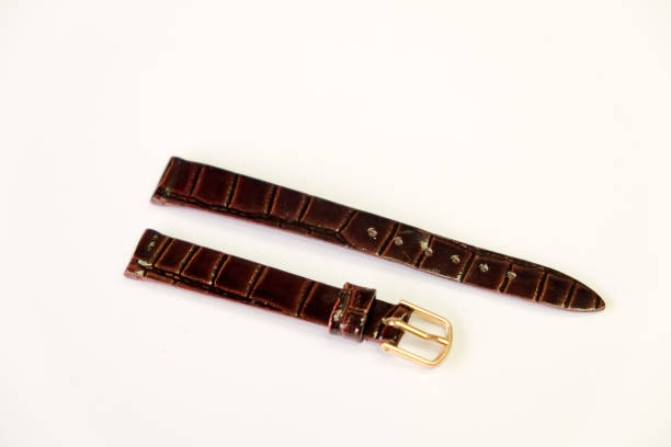 istock Watchband colors and materials 694507732