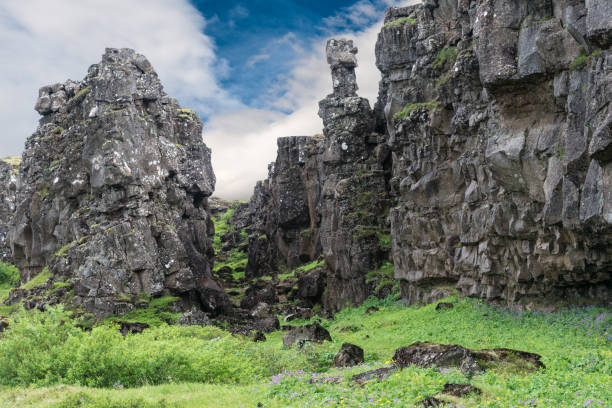 istock Thingvellir National Park - Iceland 694508042