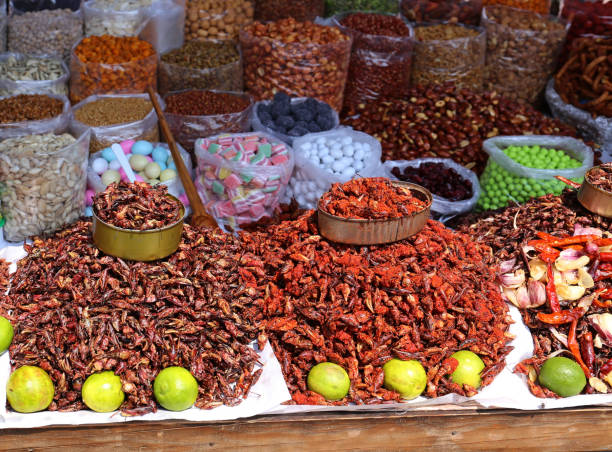 istock Insects Food in Mexico 694509262
