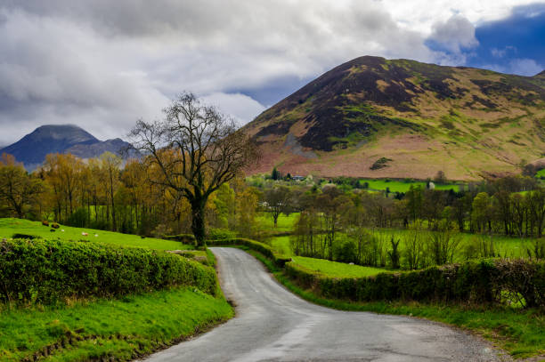 istock Country lane in Lake District 694517988