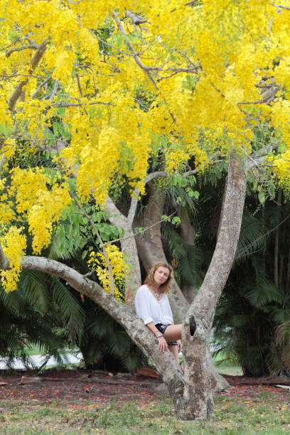 istock Young woman and yellow blooming Laburnum tree. 694518062