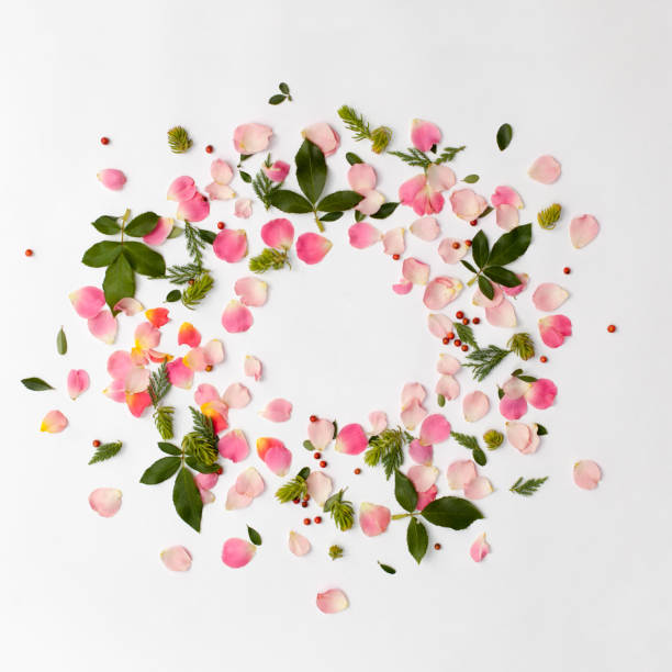 istock Creative floral round frame with rose petals and green leaves arranged on white background. Flat lay, top view 694518330
