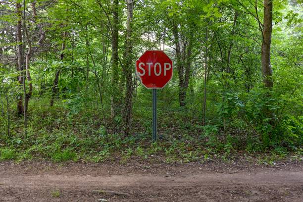 istock red stop sign in woods 694521152